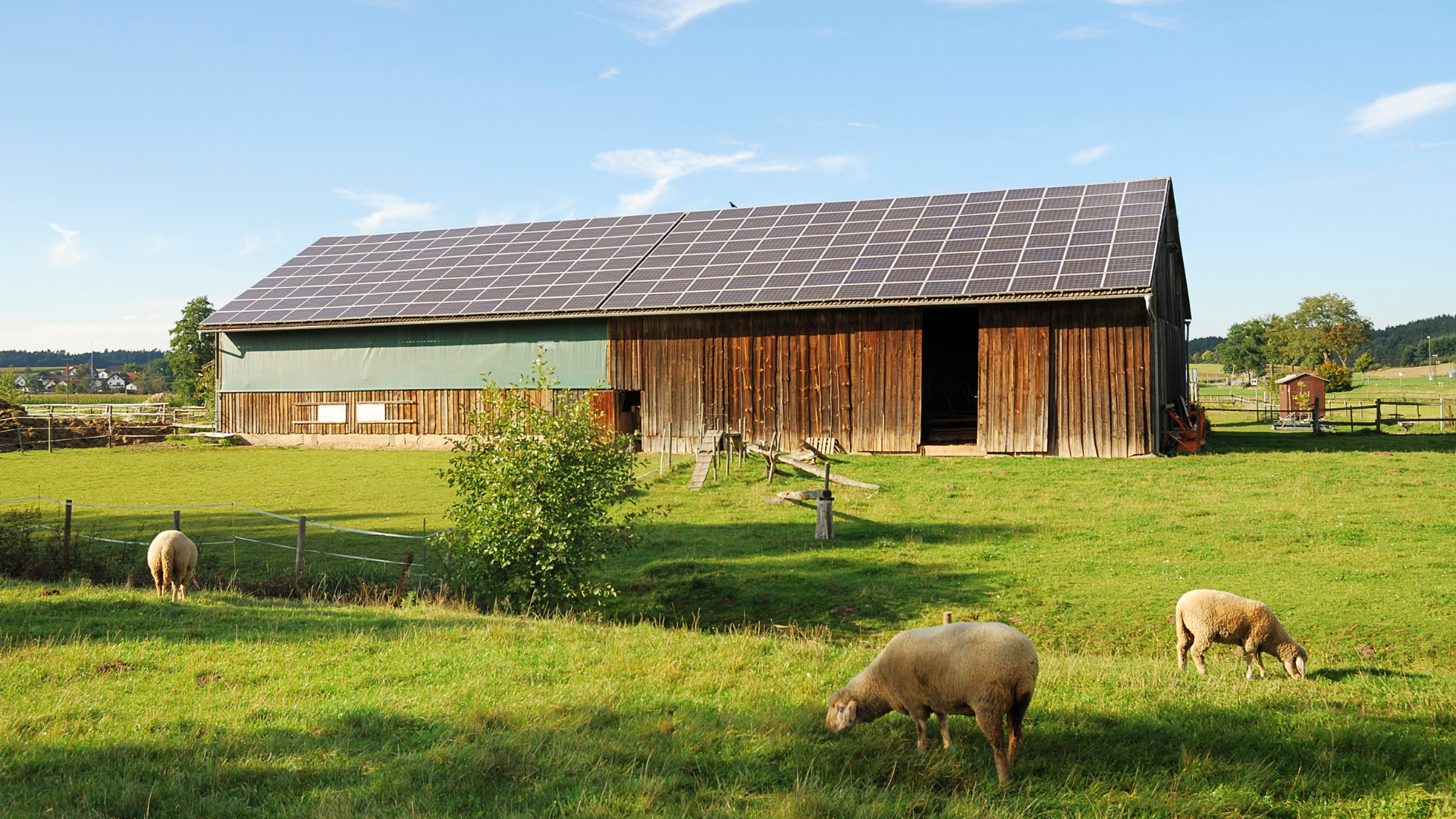 Solárna elektráreň pre farmárov a agrárny sektor | Energetická nezávislosť, Komplexné riešenia a Priame dodávky